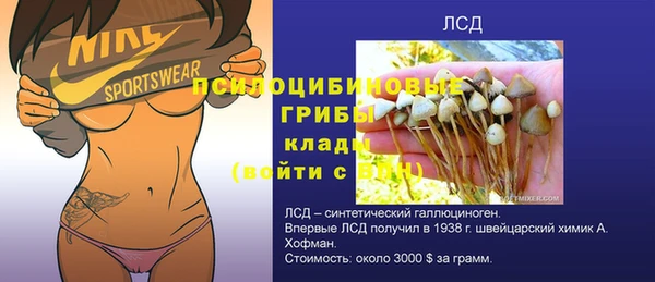 индика Пересвет