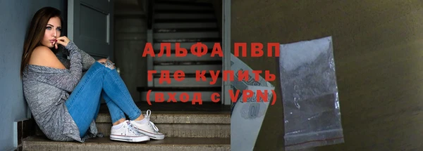 стаф Пестово