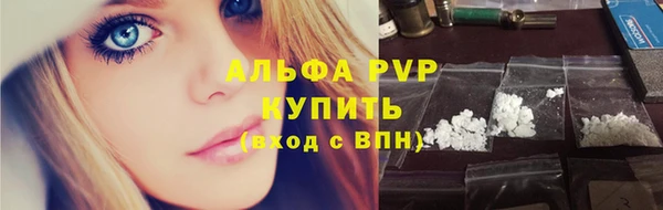 стаф Пестово