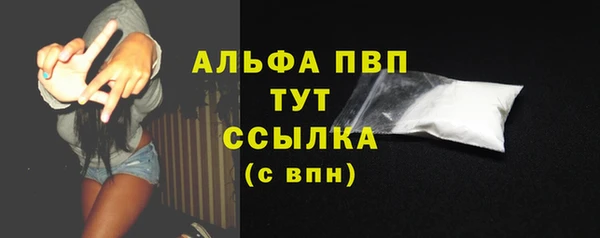 стаф Пестово