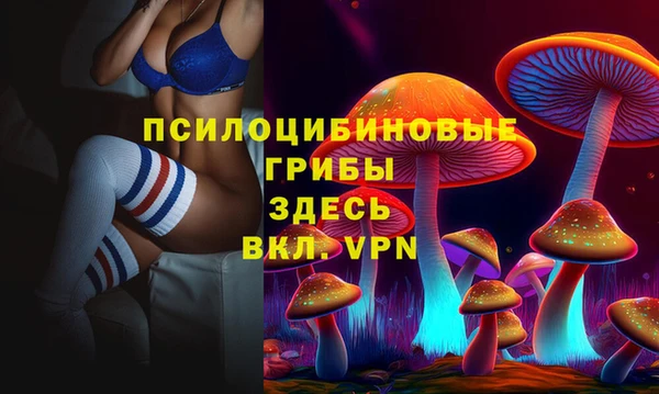стаф Пестово
