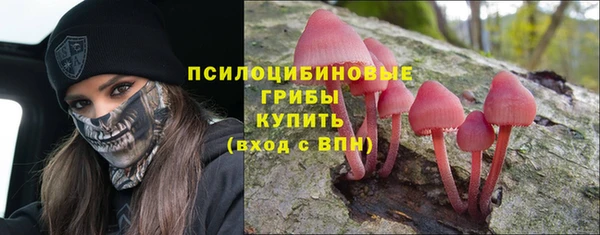 стаф Пестово