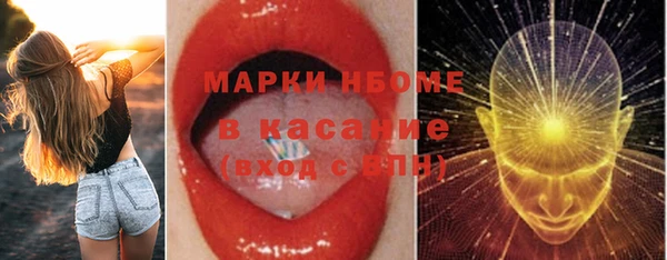 индика Пересвет
