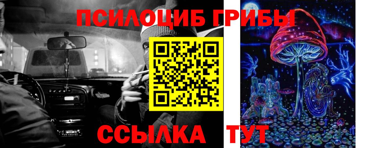 цена наркотик  Псилоцибиновые грибы Magic Shrooms  Балашов  Вход с VPN  Псилоцибиновые грибы ЛСД 